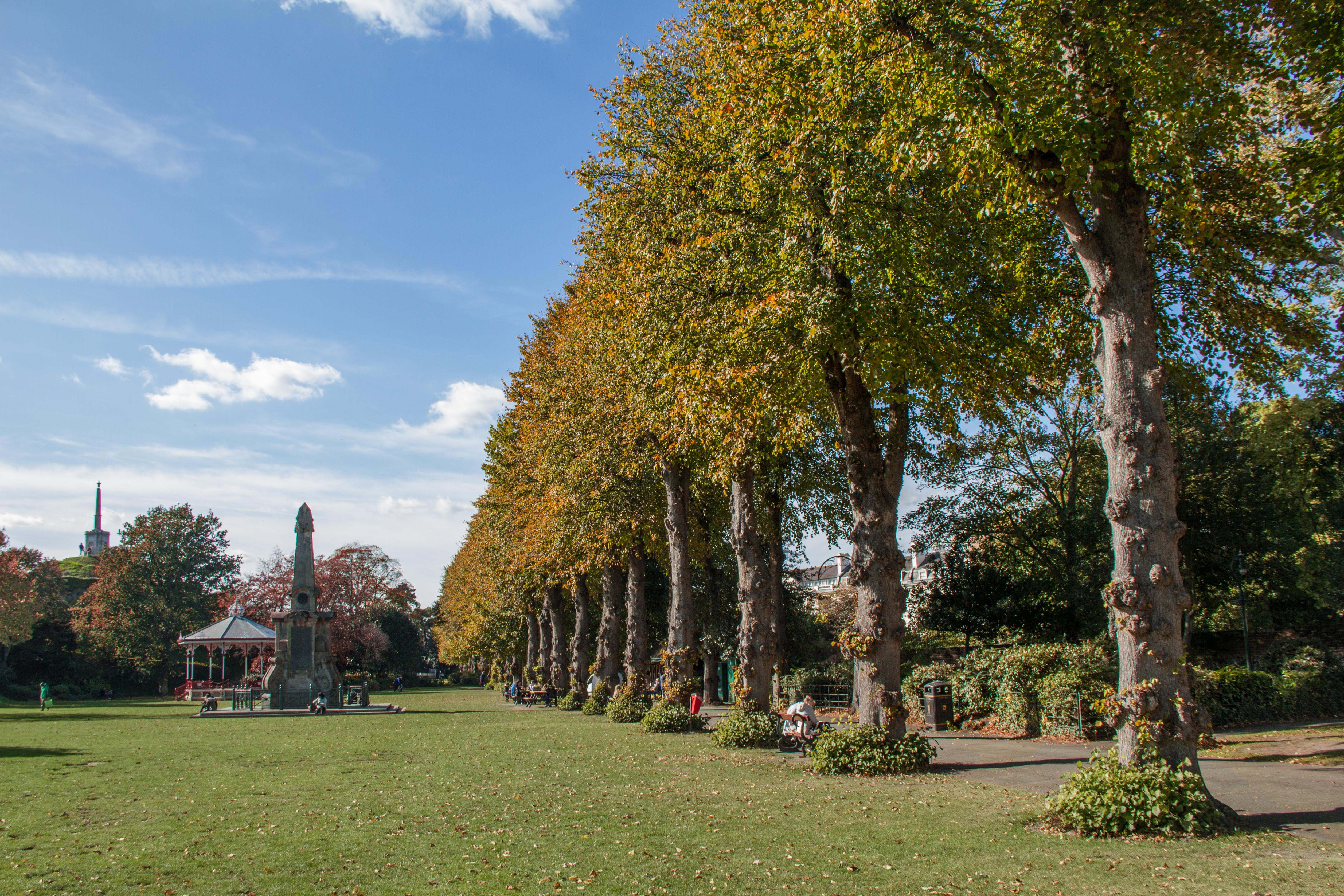 Trees in a street in Dane John gardens