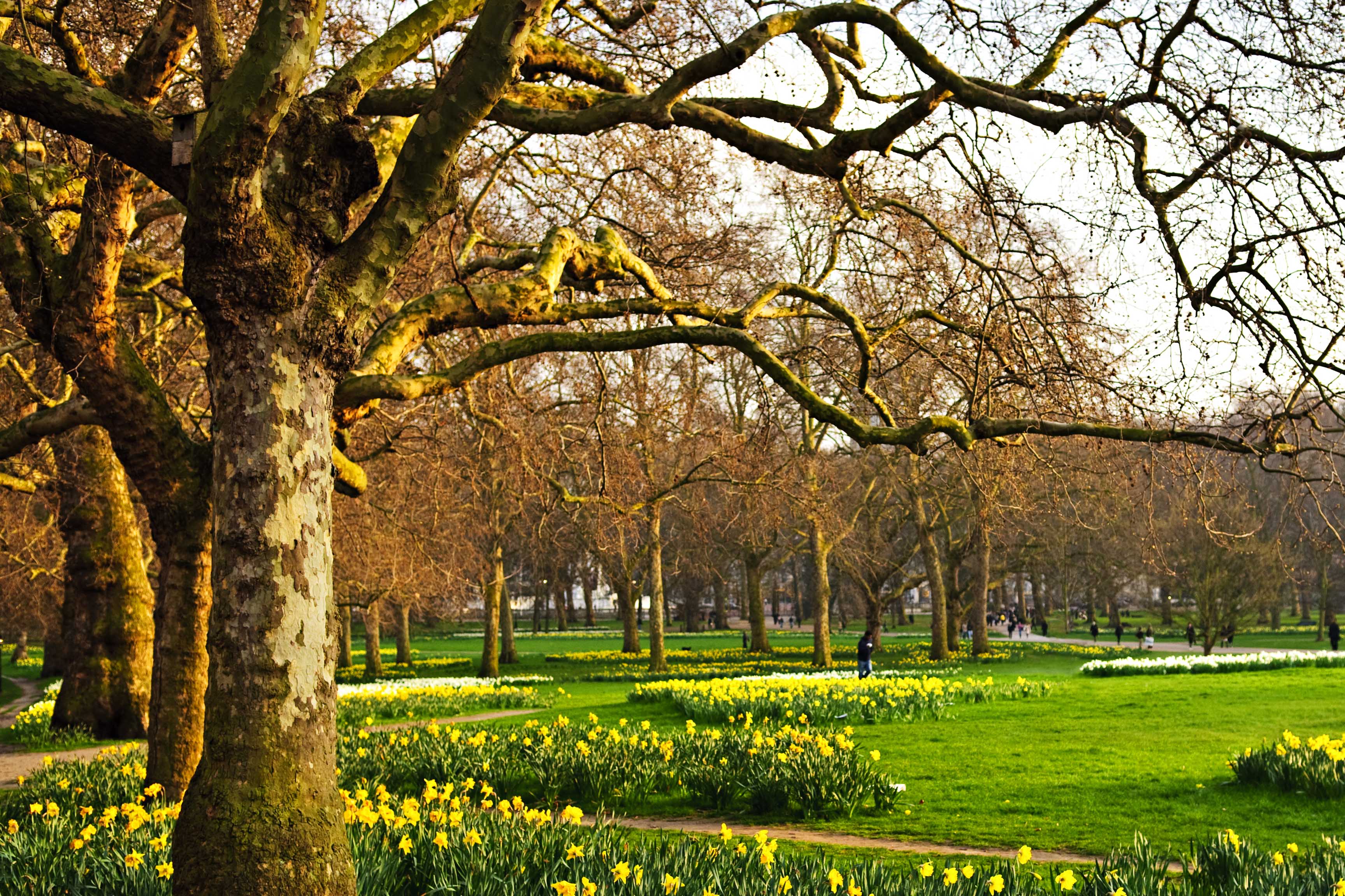 St James Park