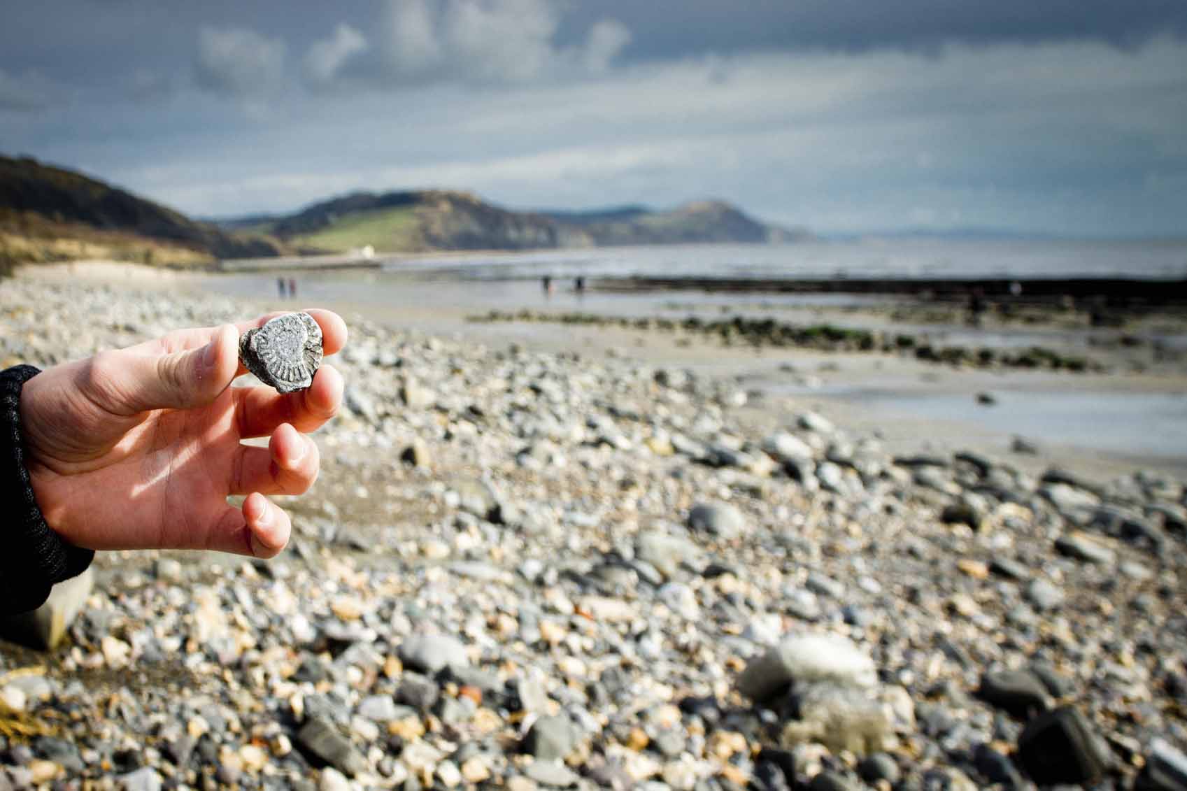 Hand holding fossil