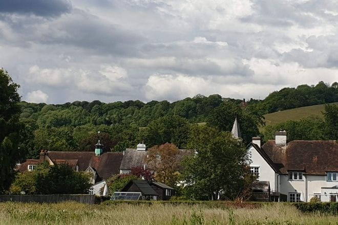 a house with trees in the background