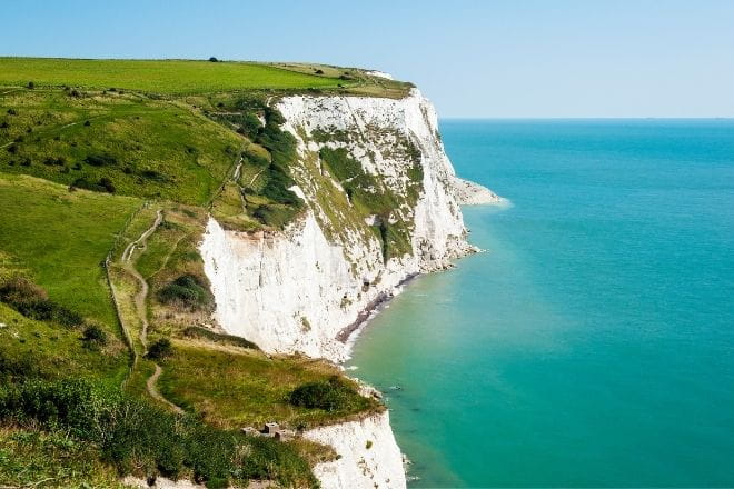 a close up of a hillside next to a body of water with White Cliffs of Dover in the background