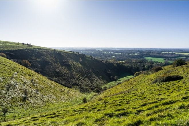 a close up of a lush green hillside