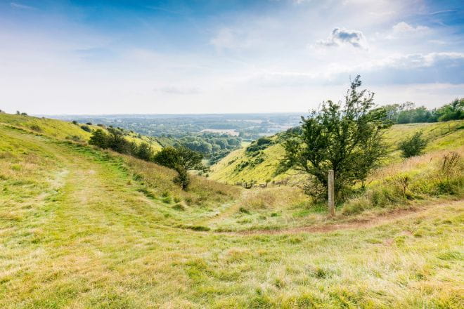 the rolling hills of the North Downs National Trail