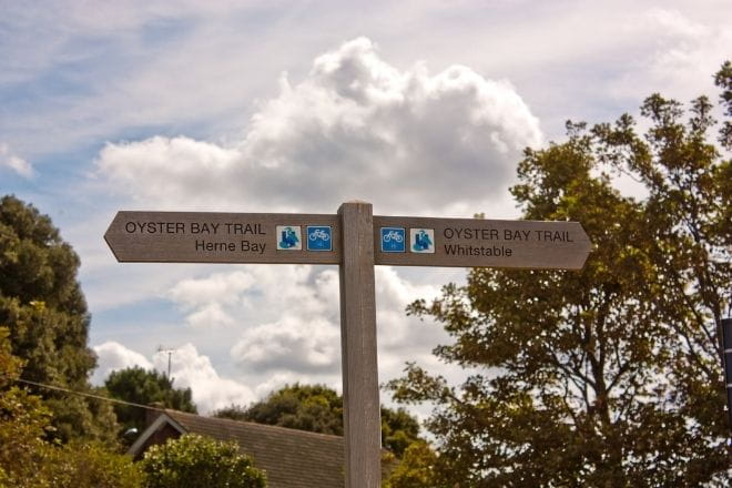 a street sign with trees in the background