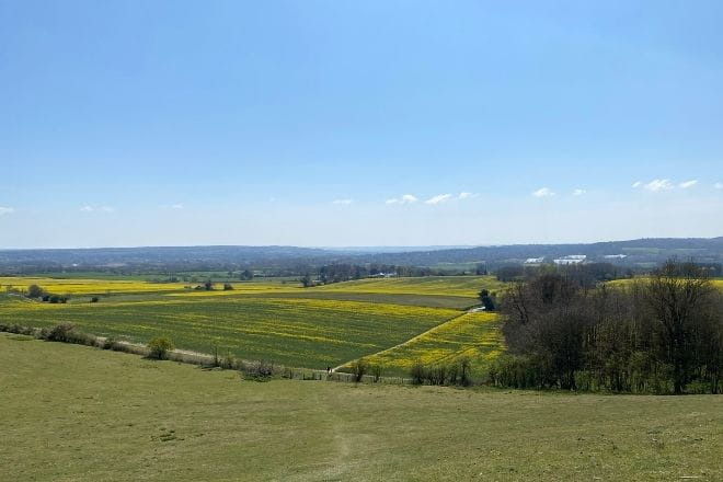 a view over the North Downs in Kent