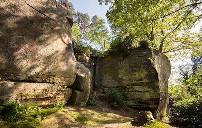 High Rocks in Tunbridge Wells