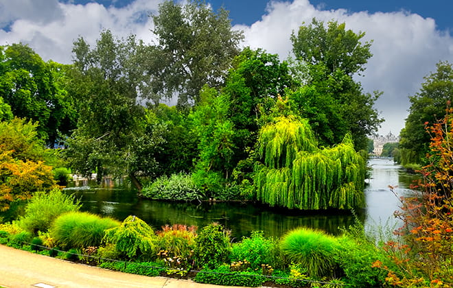 a body of water surrounded by trees