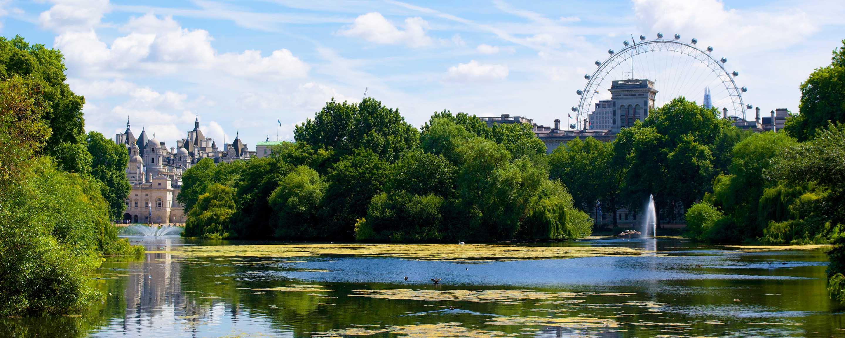 St James Park view