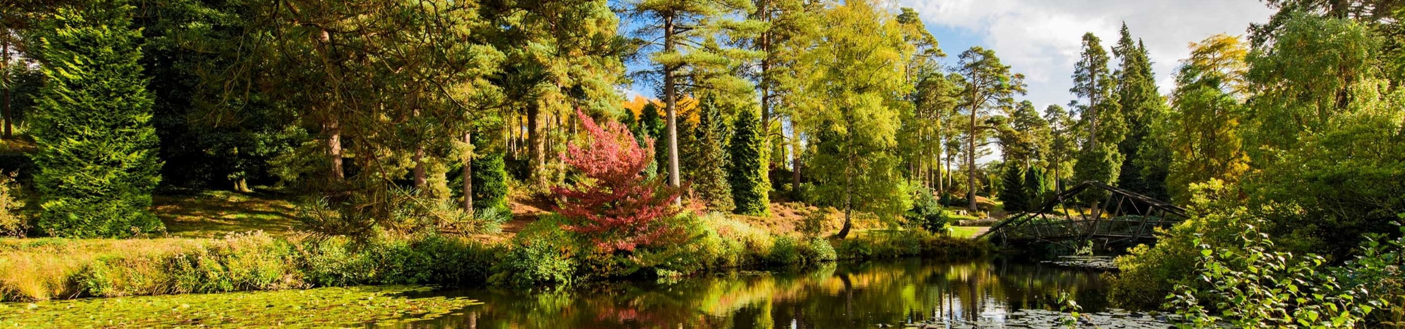 a body of water surrounded by trees