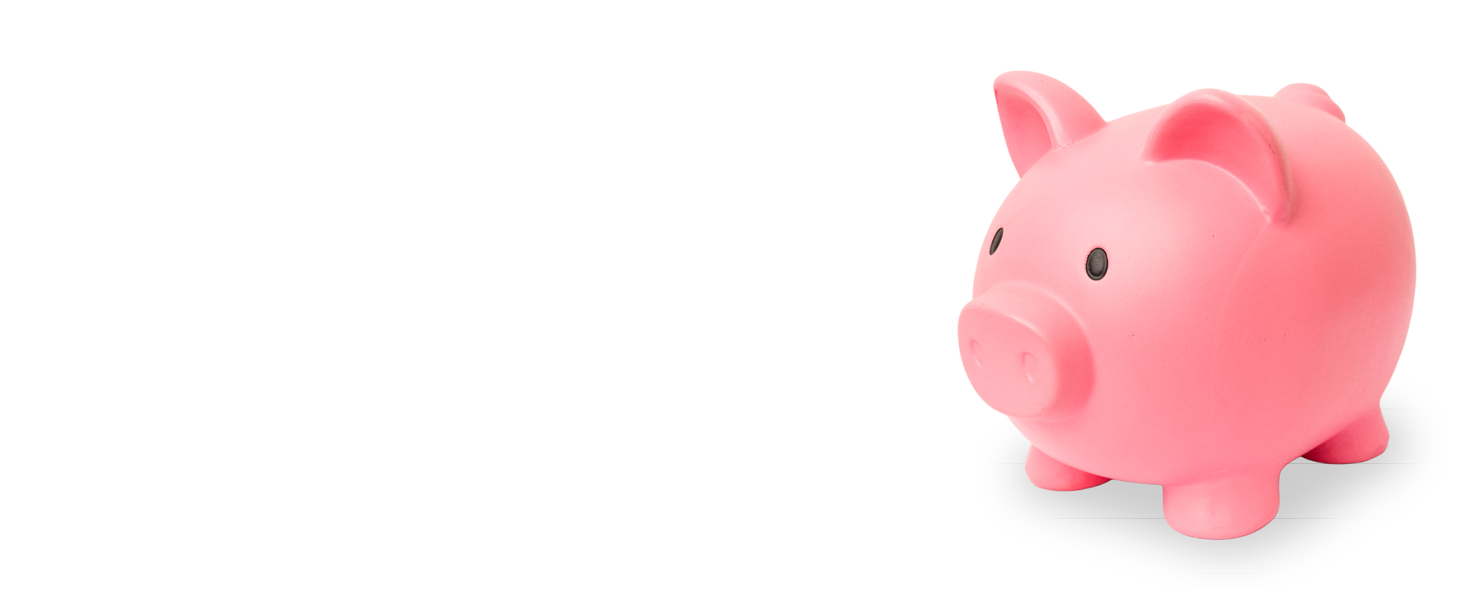 a pink money bank pig on a white background