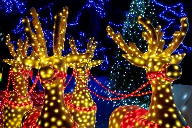 reindeer lit up in yellow and red