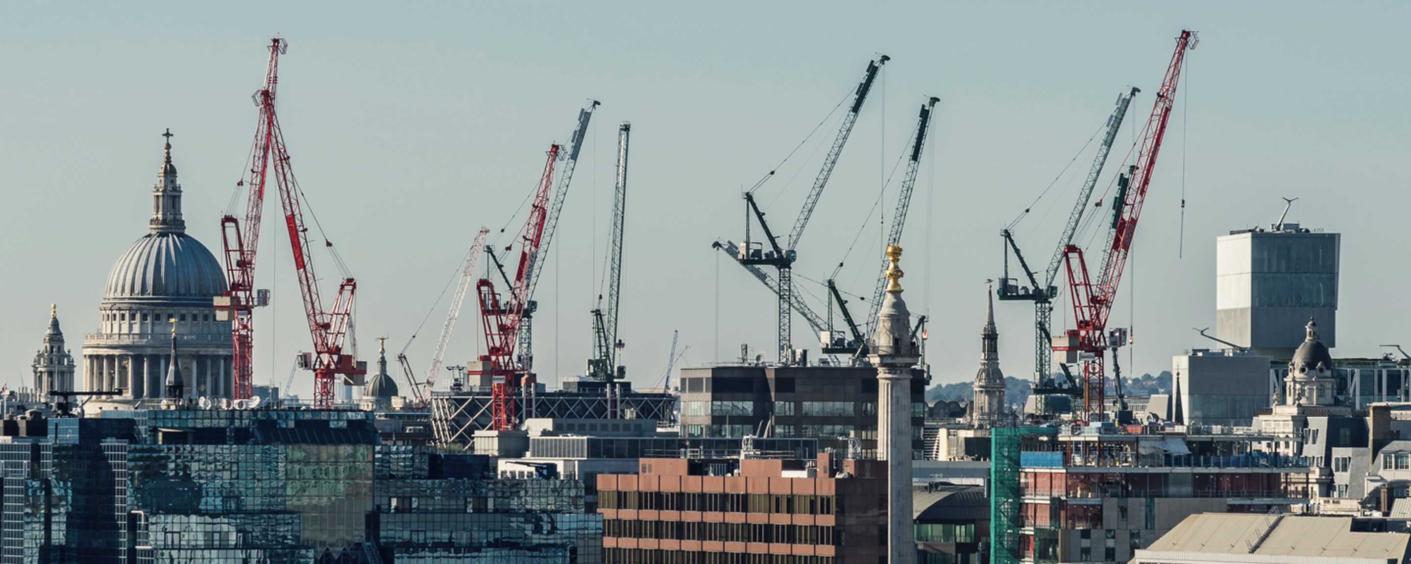 Cranes in London